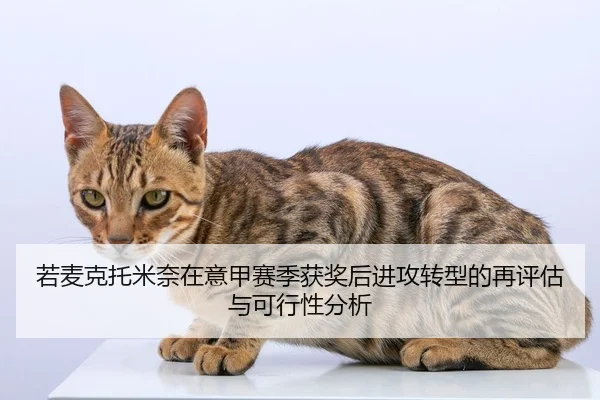 ruo-mai-ke-tuo-mi-nai-zai-yi-jia-sai-ji-huo-jiang-hou-jin-gong-zhuan-xing-de-zai-ping-gu-yu-ke-xing-xing-fen-xi-2-504.jpg
